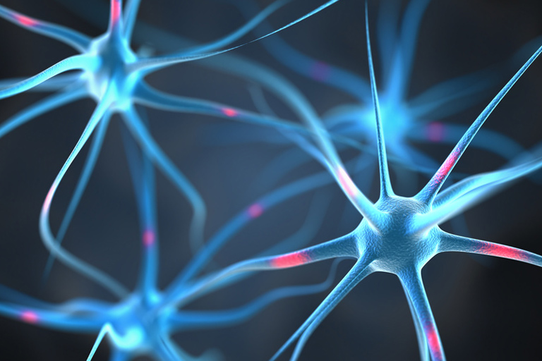 Neurologische Erkrankungen